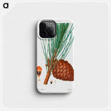 Stone pine (Pinus pinea) - Pierre Joseph Redouté Phone Case.