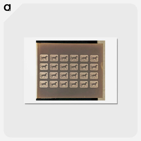 アートポストカード-Trotting - Change to Running
 - エドワード マイブリッジ Postcard.