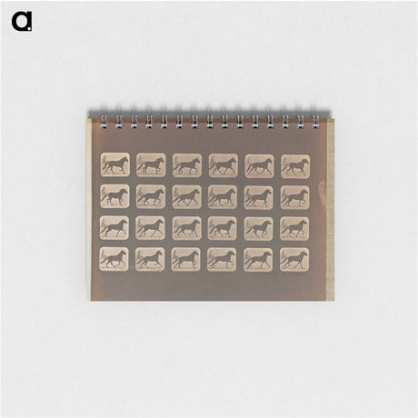 アートメモ帳-Trotting - Change to Running
 - エドワード マイブリッジ Memo.