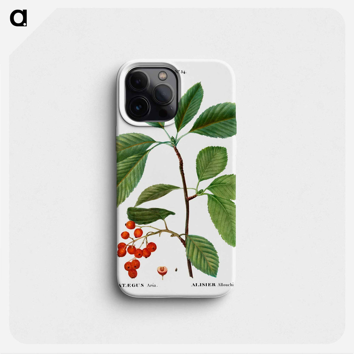 Whitebeam, Crataegus aria - Pierre Joseph Redouté Phone Case.