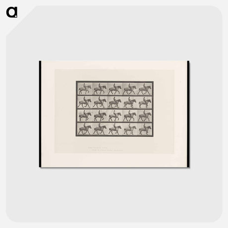 アートポストカード-Bareback Rider
 - エドワード マイブリッジ Postcard.