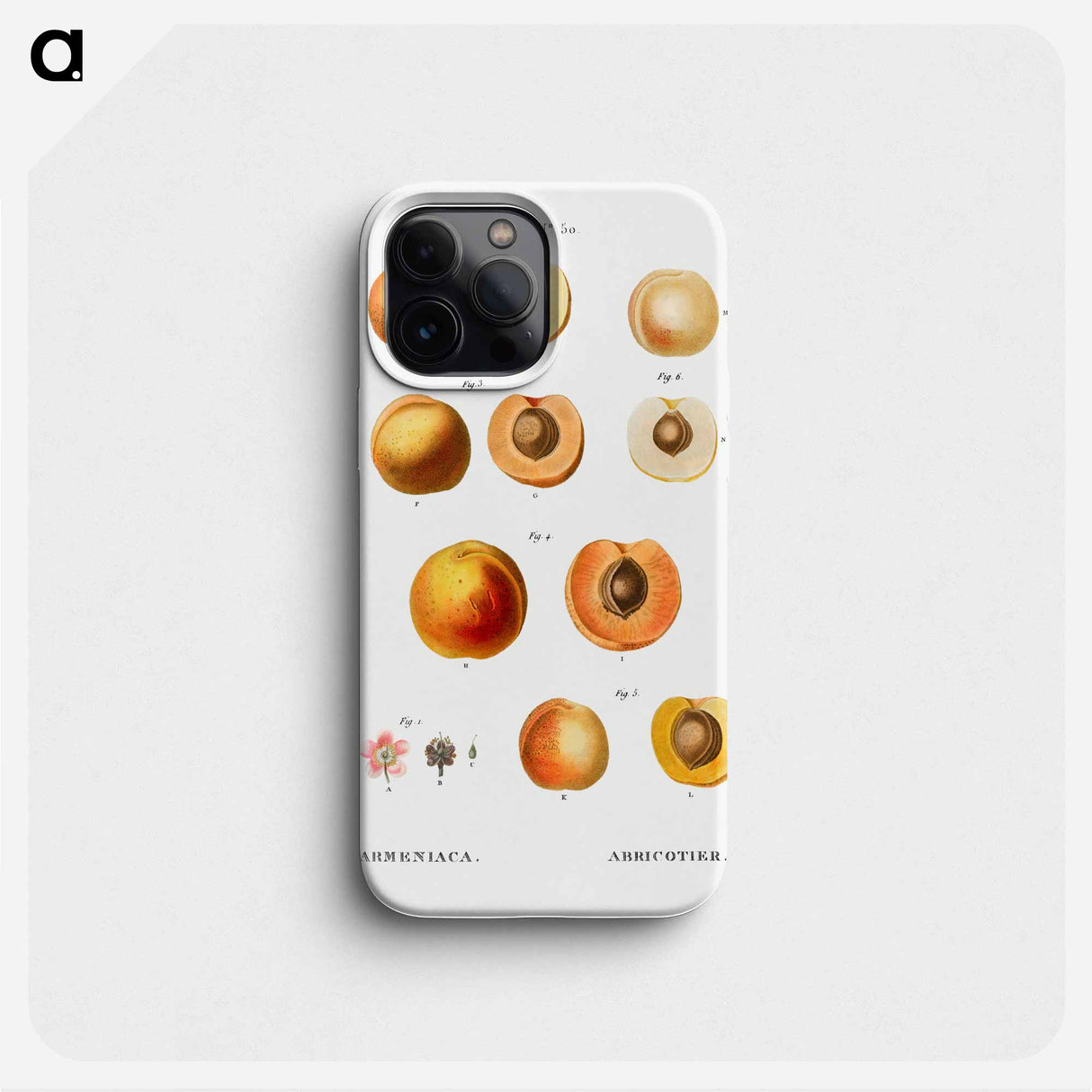 Apricot (Armeniaca) - Pierre Joseph Redouté Phone Case.