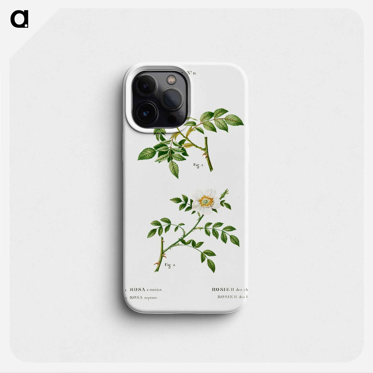 Dog rose, Rosa canina 2. Wild rose, Rosa sepium - Pierre Joseph Redouté Phone Case.