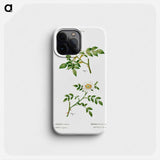 Dog rose, Rosa canina 2. Wild rose, Rosa sepium - Pierre Joseph Redouté Phone Case.
