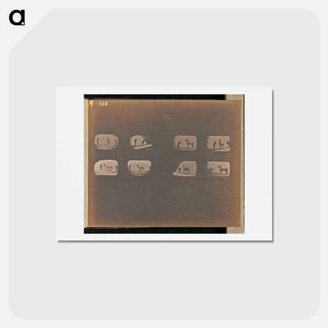 アートポストカード-Walking
 - エドワード マイブリッジ Postcard.