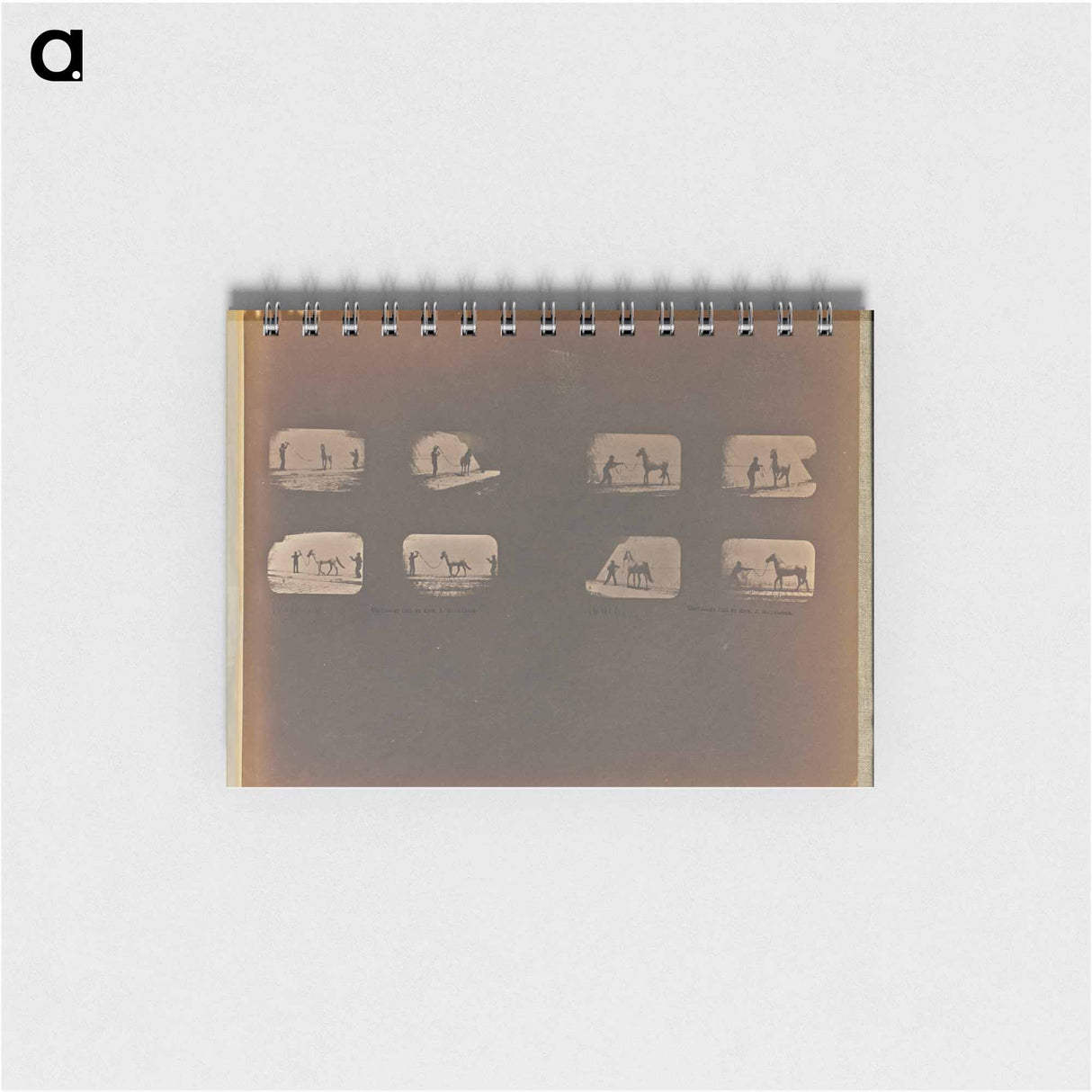 アートメモ帳-Walking
 - エドワード マイブリッジ Memo.