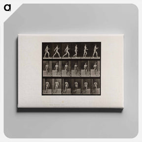 アートパネル-Naked Man Walking
 - エドワード マイブリッジ Canvas.