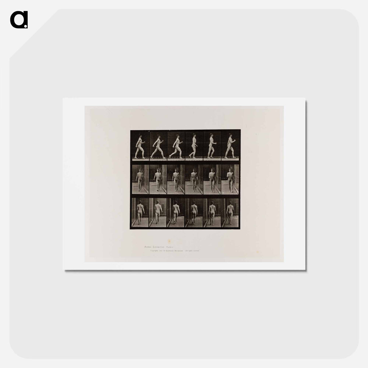 アートポストカード-Naked Man Walking
 - エドワード マイブリッジ Postcard.