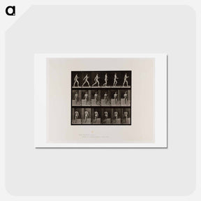 アートポストカード-Naked Man Walking
 - エドワード マイブリッジ Postcard.