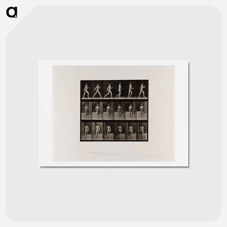 アートポストカード-Naked Man Walking
 - エドワード マイブリッジ Postcard.