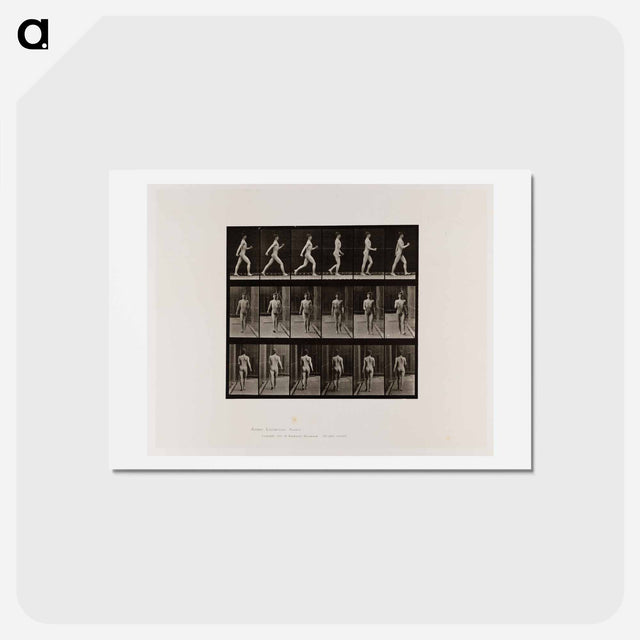 アートポストカード-Naked Man Walking
 - エドワード マイブリッジ Postcard.