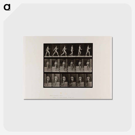 アートポストカード-Naked Man Walking
 - エドワード マイブリッジ Postcard.