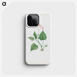 Begonia Erminea - Pierre Joseph Redouté Phone Case.