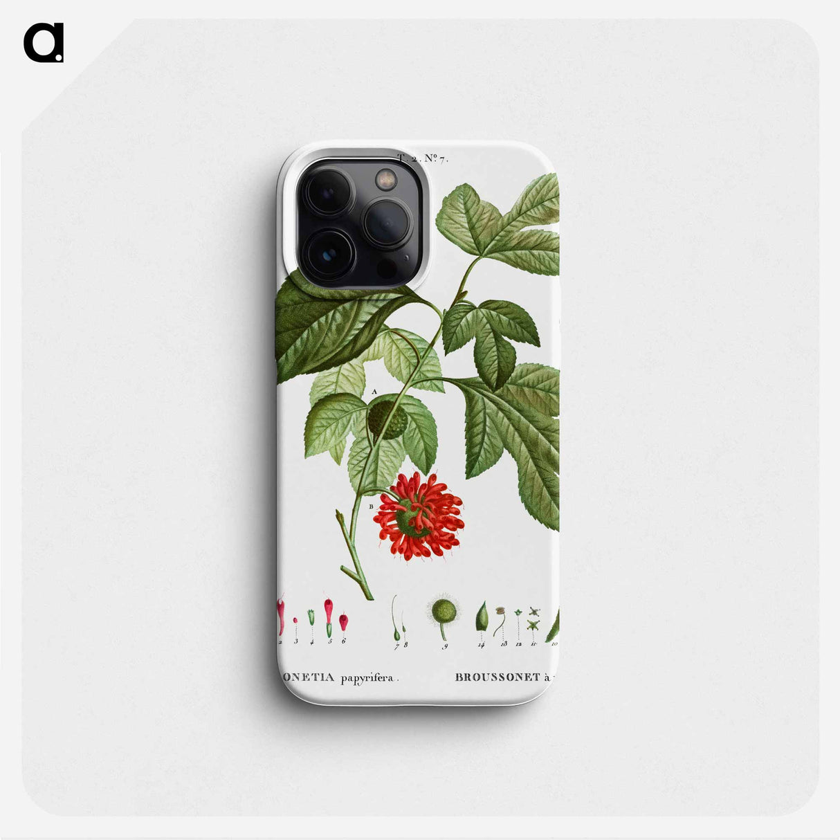 Paper mulberry - Pierre Joseph Redouté Phone Case.