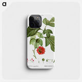 Paper mulberry - Pierre Joseph Redouté Phone Case.