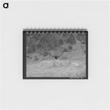 アートメモ帳-Continental Divide Boundary
 - ラッセル リー Memo.