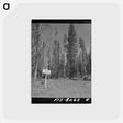アートポストカード-Continental Divide Boundary
 - ラッセル リー Postcard.