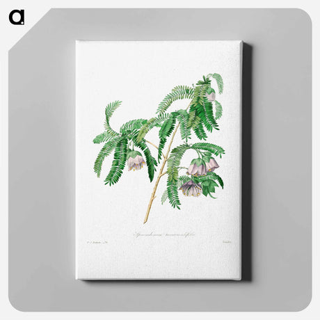 アートパネル-Purple peach-blossom - ピエール ジョゼフ ルドゥーテ Canvas.