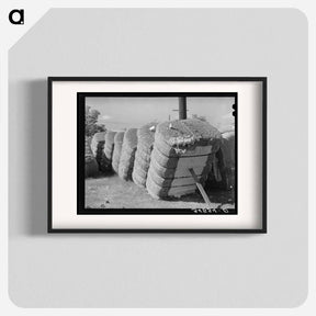 アートポスター-Cotton Gin Yard
 - ラッセル リー Poster.