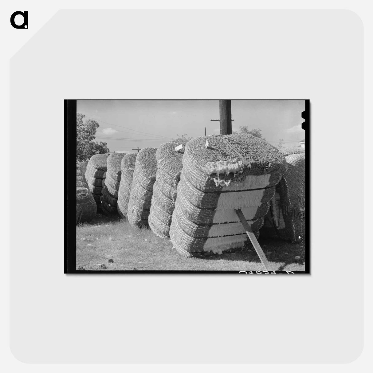 アートポストカード-Cotton Gin Yard
 - ラッセル リー Postcard.