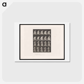アートポストカード-Woman with Basket and Parasol
 - エドワード マイブリッジ Postcard.