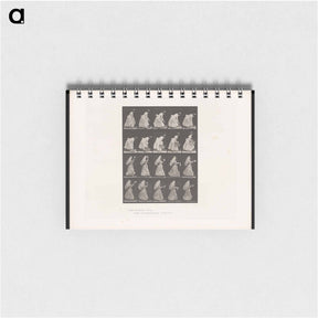 アートメモ帳-Woman with Basket and Parasol
 - エドワード マイブリッジ Memo.