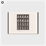 アートポストカード-Woman with Basket and Parasol
 - エドワード マイブリッジ Postcard.