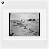 Refugee families near Holtville, California - Dorothea Lange Poster.