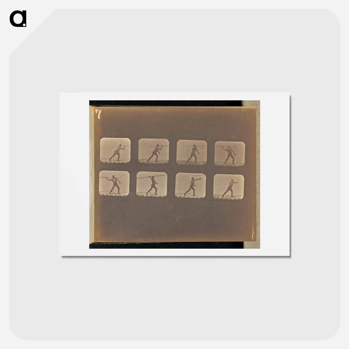 アートポストカード-Lance Throwing
 - エドワード マイブリッジ Postcard.