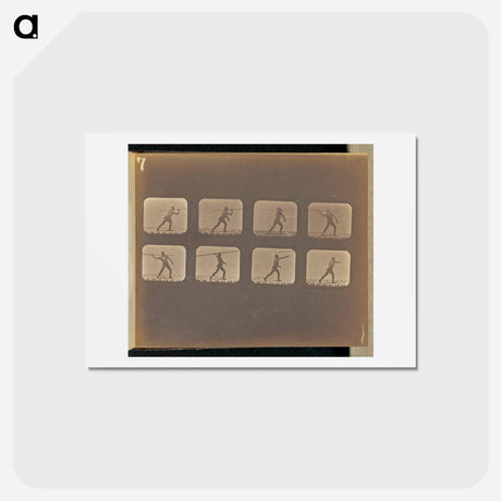 アートポストカード-Lance Throwing
 - エドワード マイブリッジ Postcard.