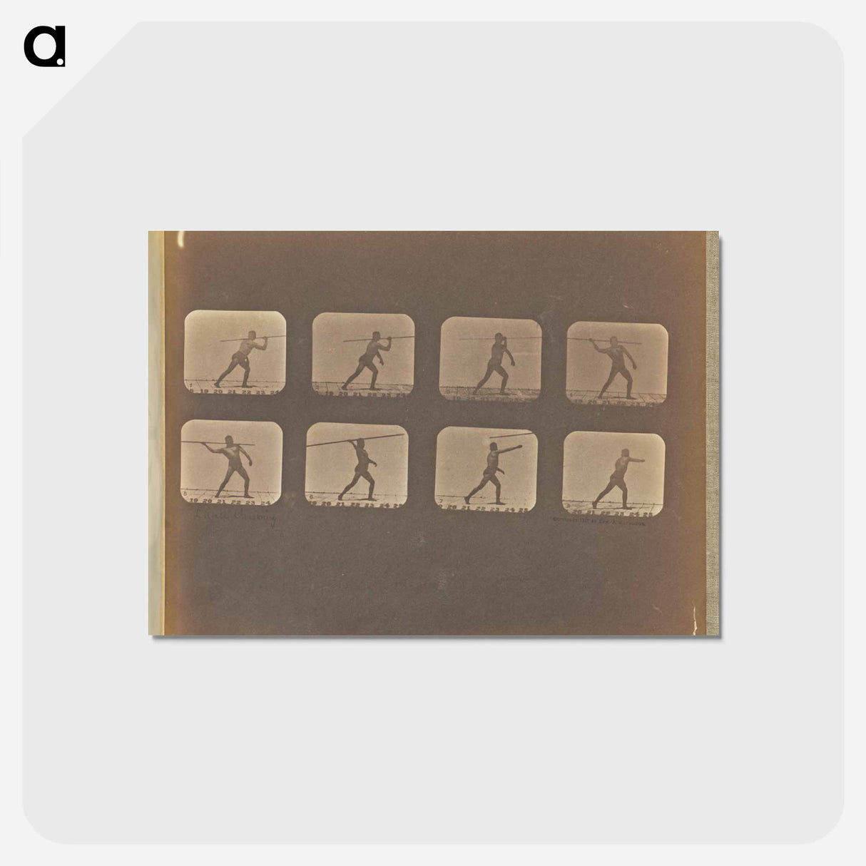 アートポストカード-Lance Throwing
 - エドワード マイブリッジ Postcard.