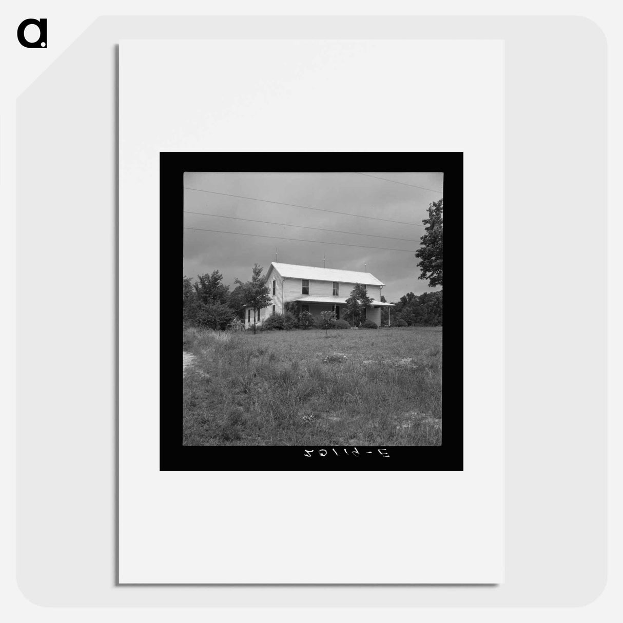 Tobacco Farm - Dorothea Lange Poster.