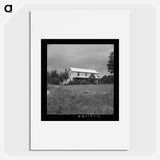 Tobacco Farm - Dorothea Lange Poster.