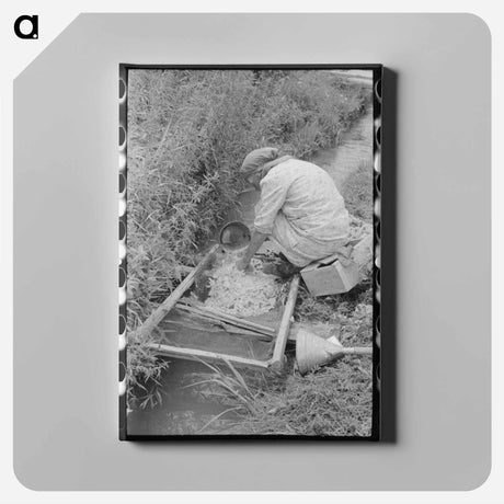 アートパネル-Unloading Cotton
 - ラッセル リー Canvas.
