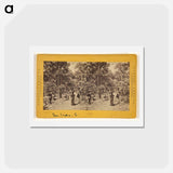アートポストカード-Cultivation of Coffee
 - エドワード マイブリッジ Postcard.