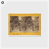 アートポストカード-Cultivation of Coffee
 - エドワード マイブリッジ Postcard.