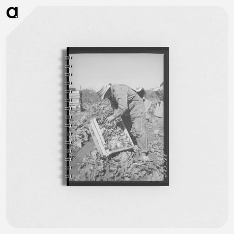 アートメモ帳-Tanking Equipment Wagon Near Marfa, Texas
 - ラッセル リー Memo.