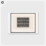 アートポストカード-Tennis Swing
 - エドワード マイブリッジ Postcard.