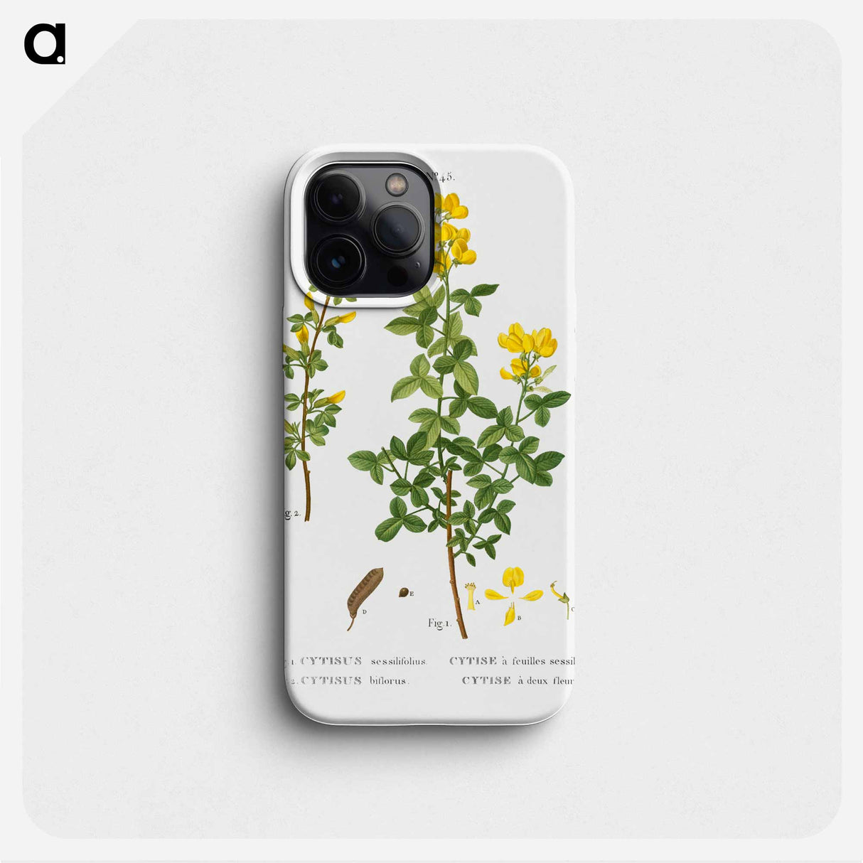 Common cytisus - Pierre Joseph Redouté Phone Case.