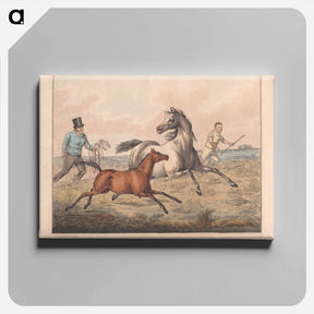 アートパネル-The Seven Ages of the Horse
 - イェール大学アートギャラリー Canvas.