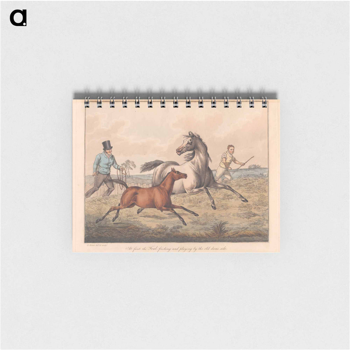 アートメモ帳-The Seven Ages of the Horse
 - イェール大学アートギャラリー Memo.