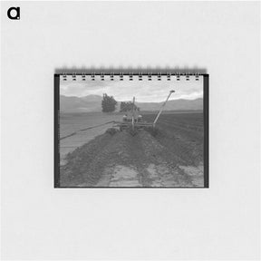 アートメモ帳-Sugar beet field freshly plowed by tractor with plowshare attached and showing Mexican operator. California. - ドロテア ラング Memo.