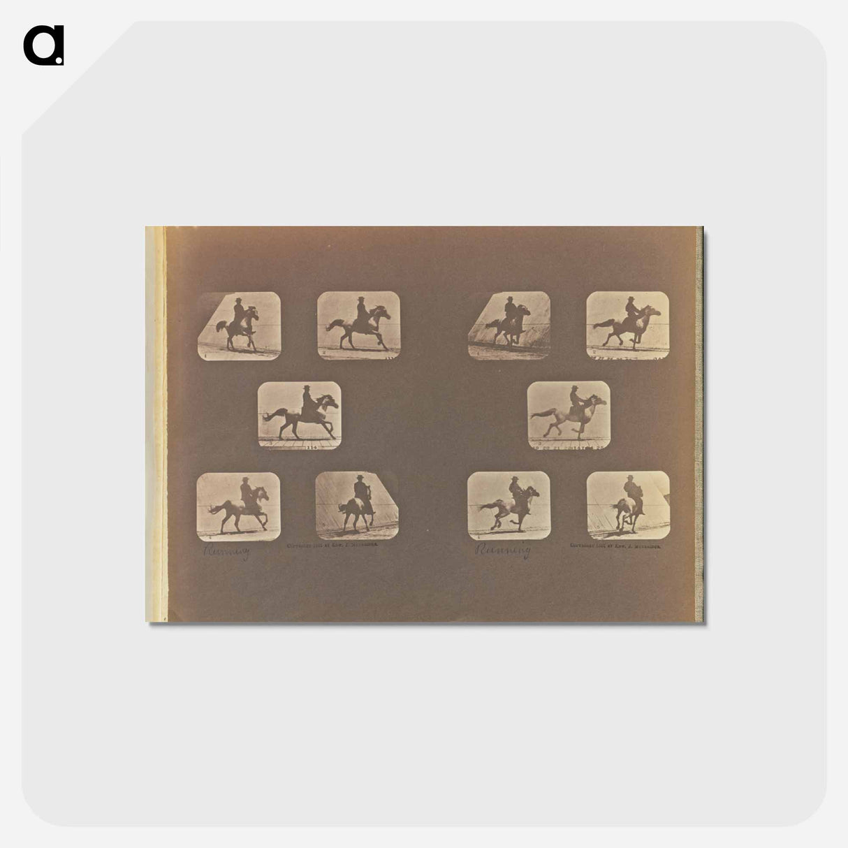 アートポストカード-Running
 - エドワード マイブリッジ Postcard.