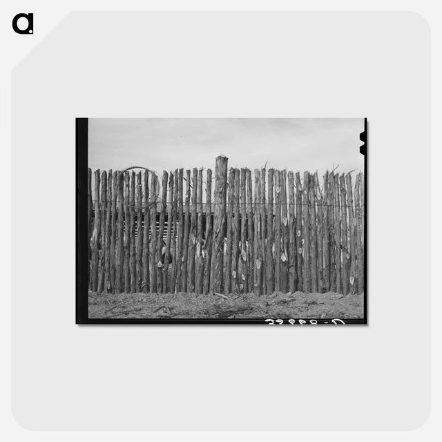 アートポストカード-Kimble County Ranch Fence
 - ラッセル リー Postcard.
