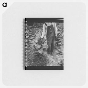 アートメモ帳-tenant topping tobacco - ドロテア ラング Memo.