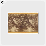 アートポストカード-On the trail to the Bath House
 - エドワード マイブリッジ Postcard.