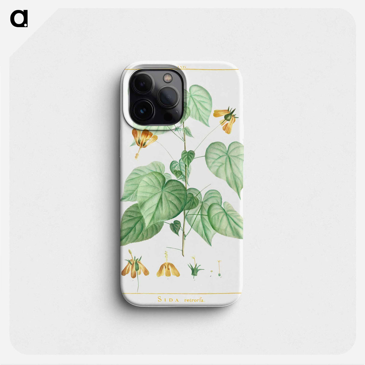 Sida Retrorfa - ピエール ジョゼフ ルドゥーテ Phone Case.