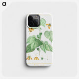 Sida Retrorfa - ピエール ジョゼフ ルドゥーテ Phone Case.