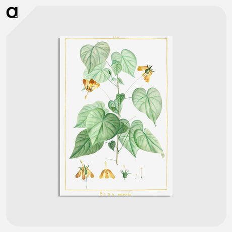 アートポストカード-Sida Retrorfa - ピエール ジョゼフ ルドゥーテ Postcard.