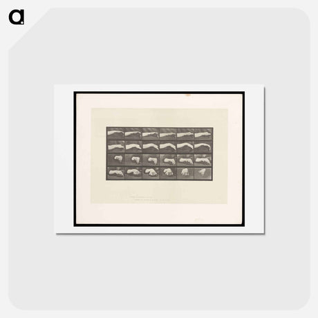 アートポストカード-Hand Drawing a Circle
 - エドワード マイブリッジ Postcard.